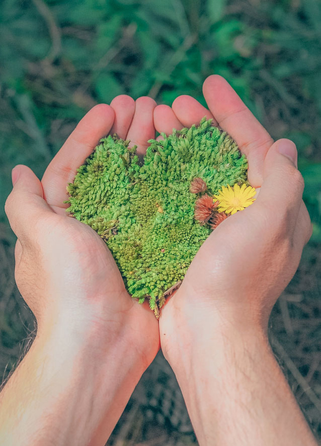 ENVIRONMENTAL PROTECTION